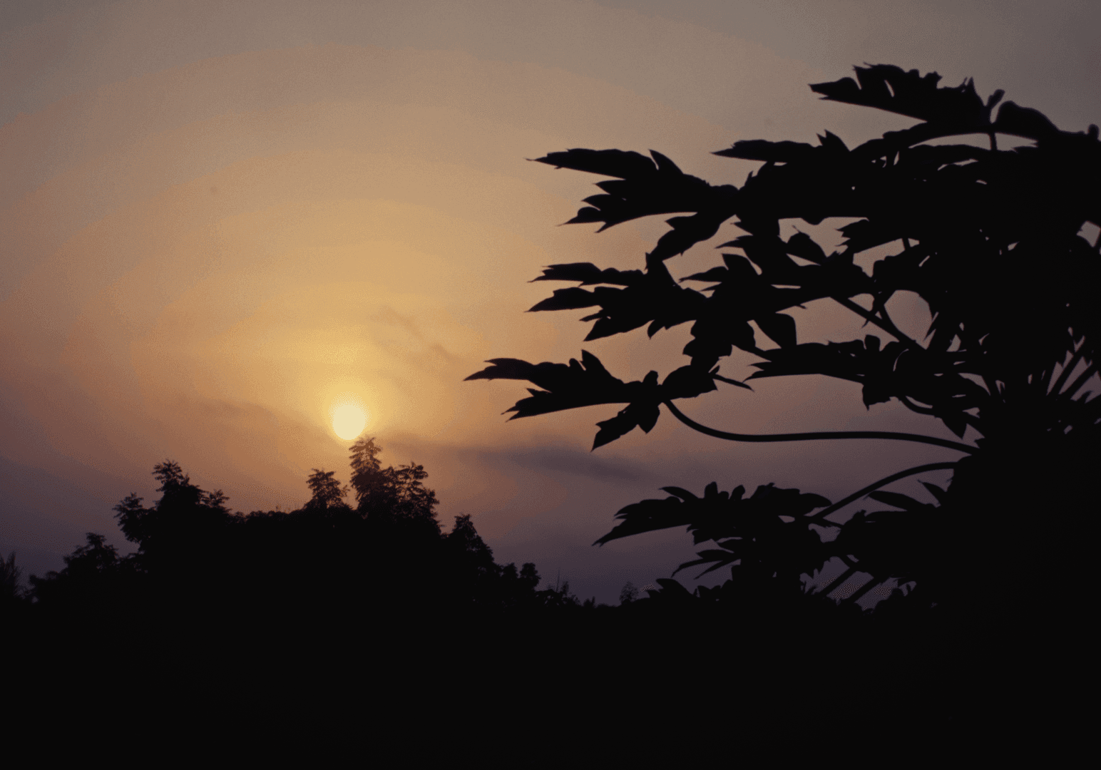 Immersion villageoise avec les habitants