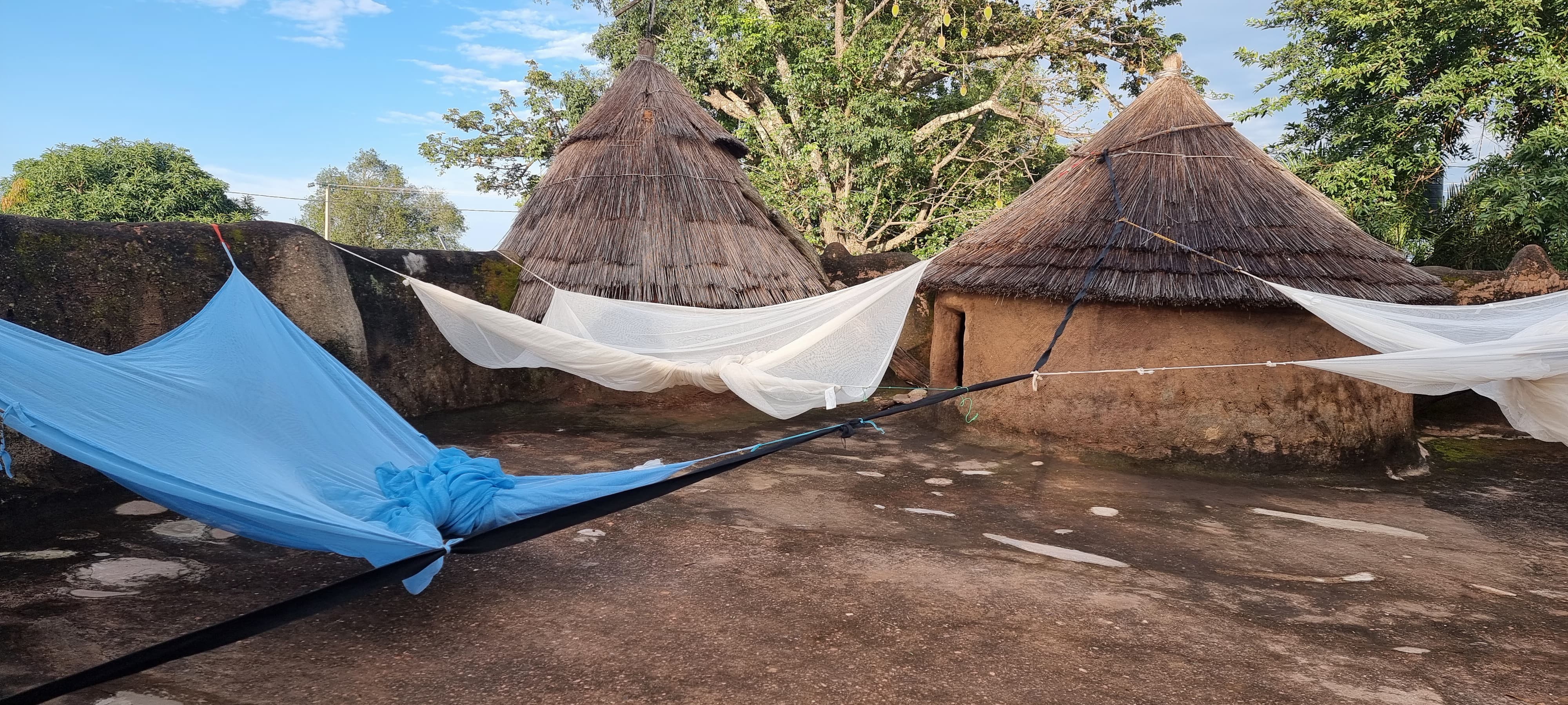Tourisme régénératif et territoires vivants