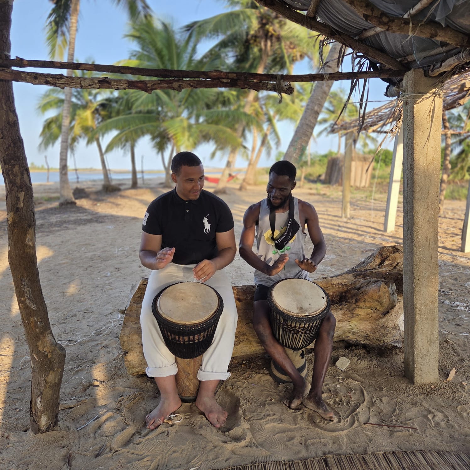 Portraits dans la végétation